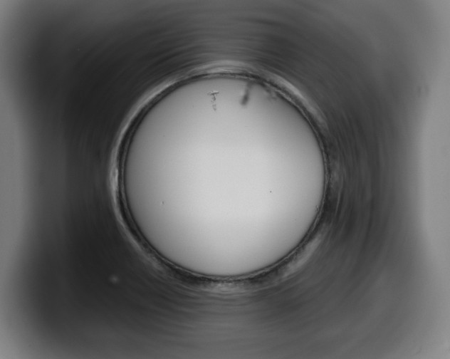 X0000099491418200805150918