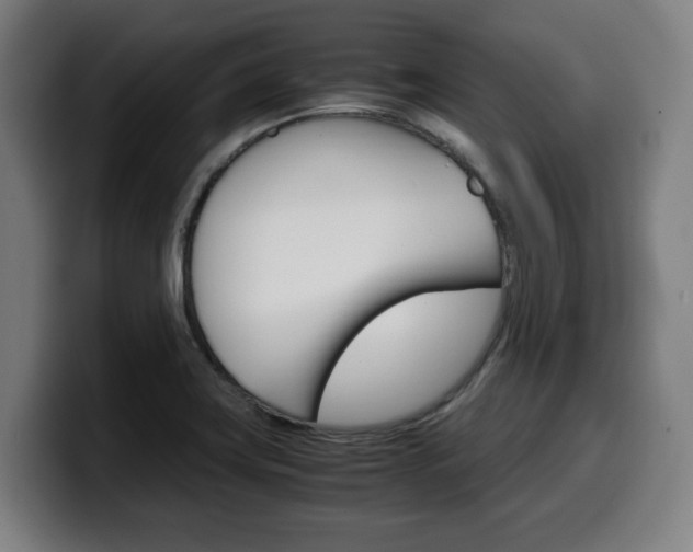 X0000099491419200805150918