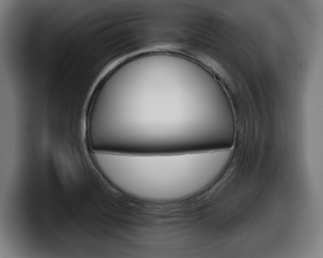 X0000099491420200805150918