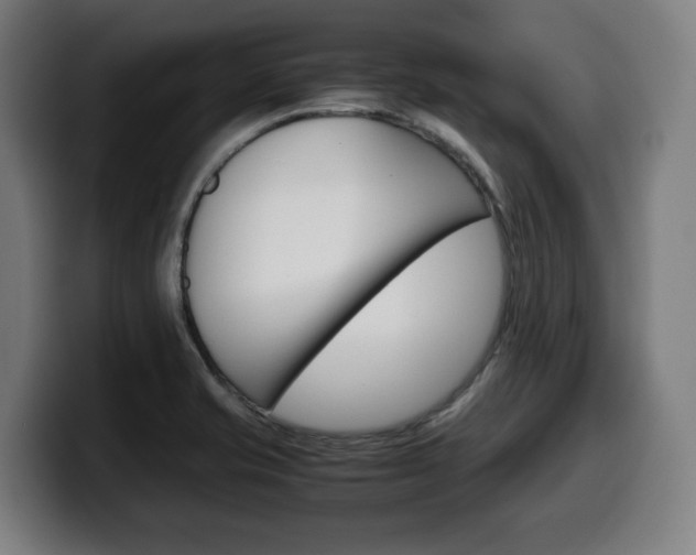 X0000099491421200805150918