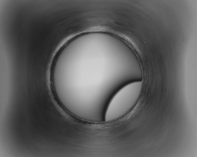 X0000099491422200805150918