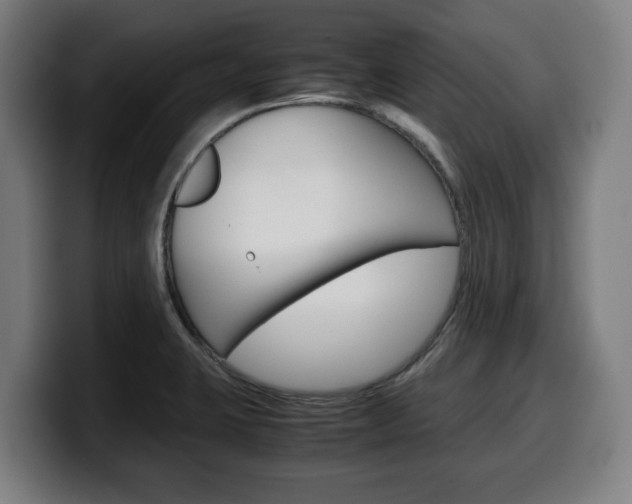 X0000099491423200805150918