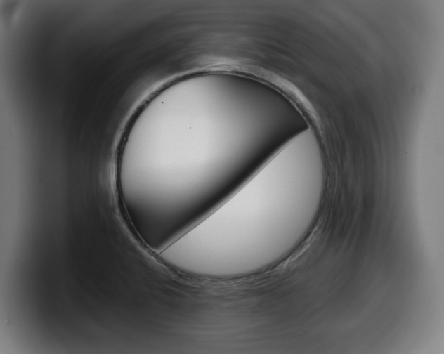 X0000099491424200805150918