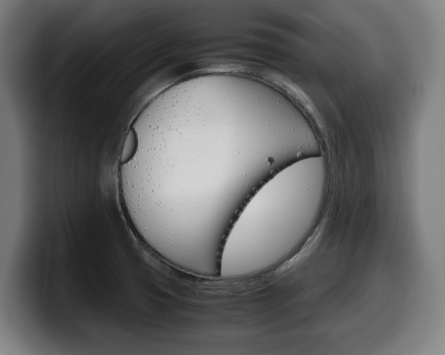 X0000099491425200805150918