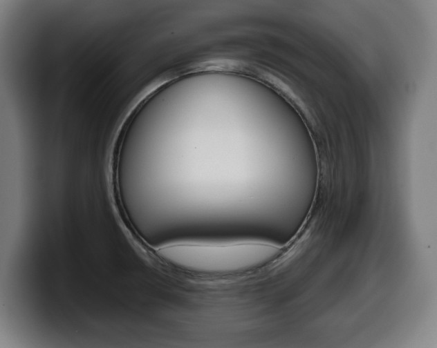 X0000099491426200805150918