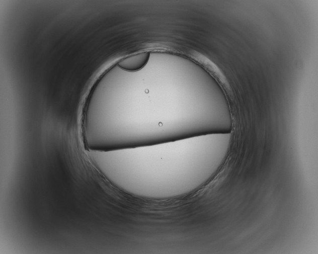 X0000099491427200805150918