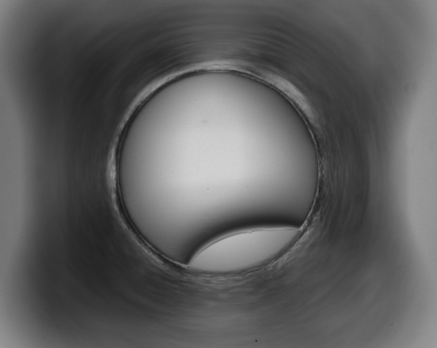 X0000099491428200805150918