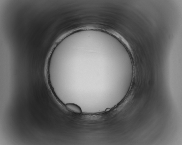 X0000099491429200805150918