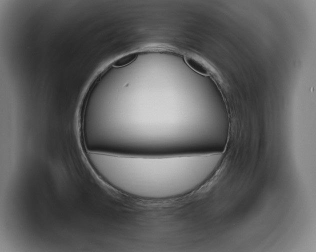 X0000099491430200805150918