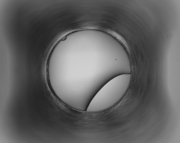 X0000099491431200805150918
