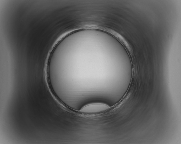 X0000099491432200805150918