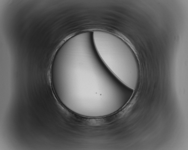 X0000099491433200805150918