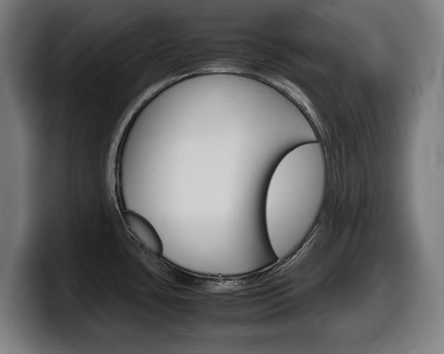 X0000099491435200805150919