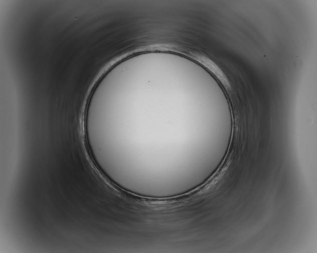 X0000099491436200805150919