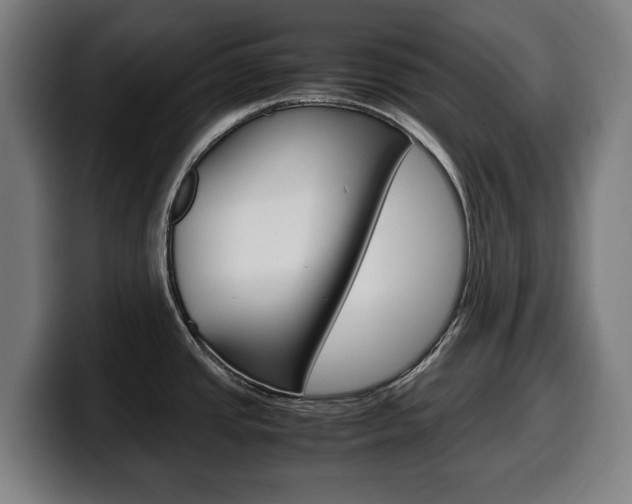 X0000099491437200805150919