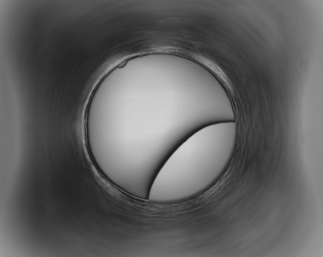 X0000099491439200805150919