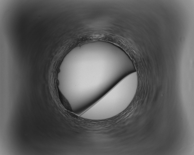 X0000099491441200805150918