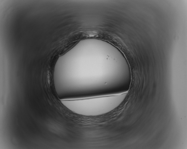 X0000099491442200805150918