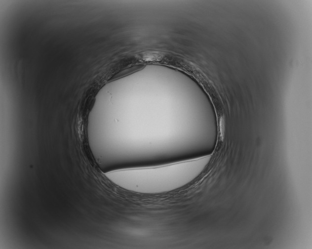 X0000099491443200805150918