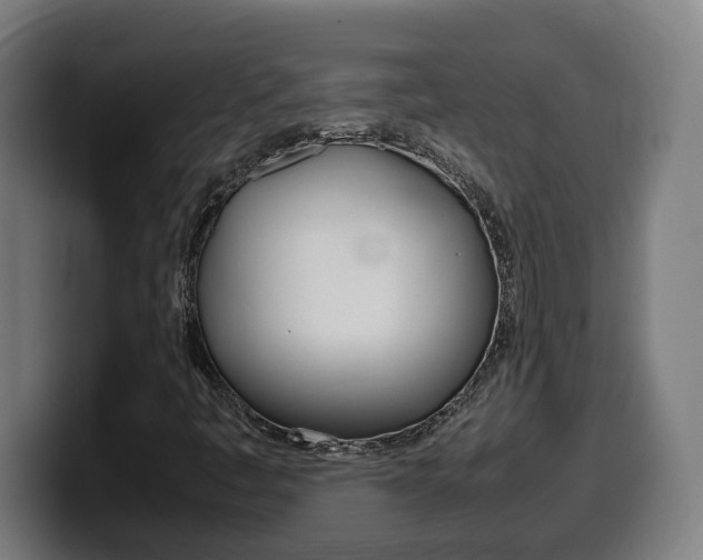 X0000099491445200805150918