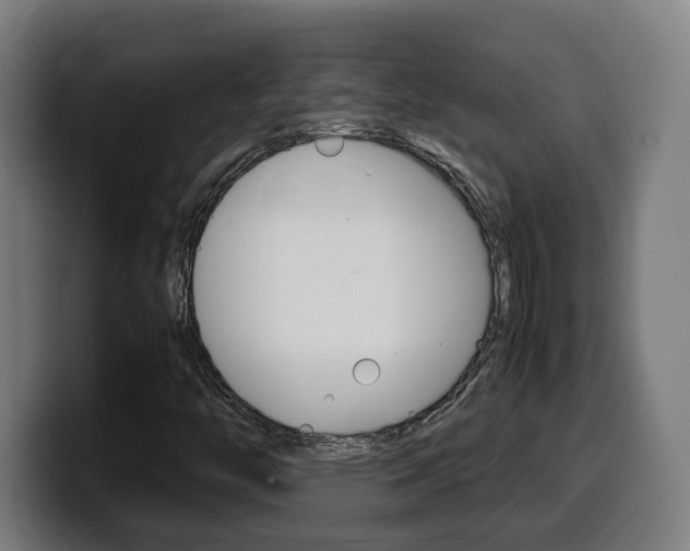 X0000099491446200805150918