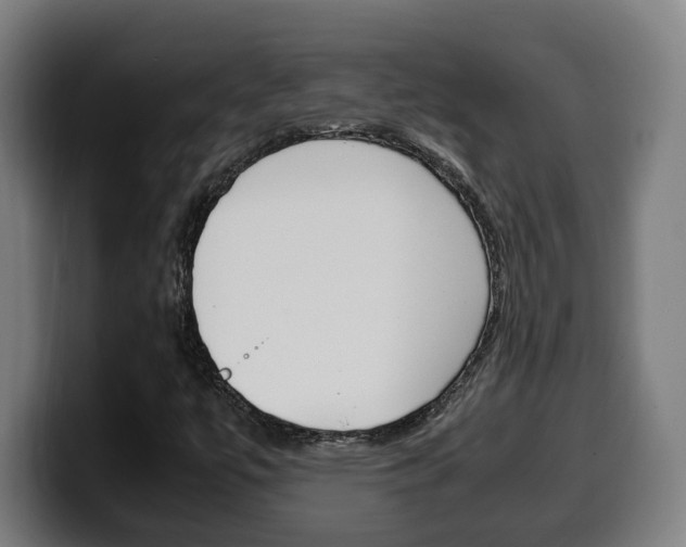 X0000099491447200805150918