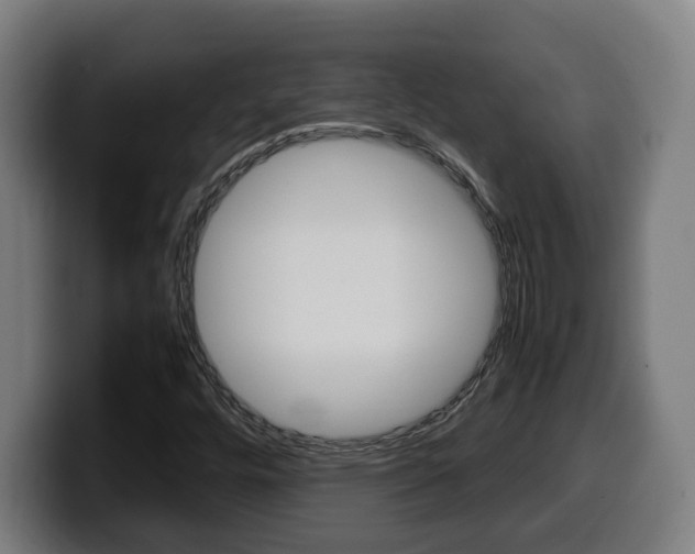 X0000099491448200805150918