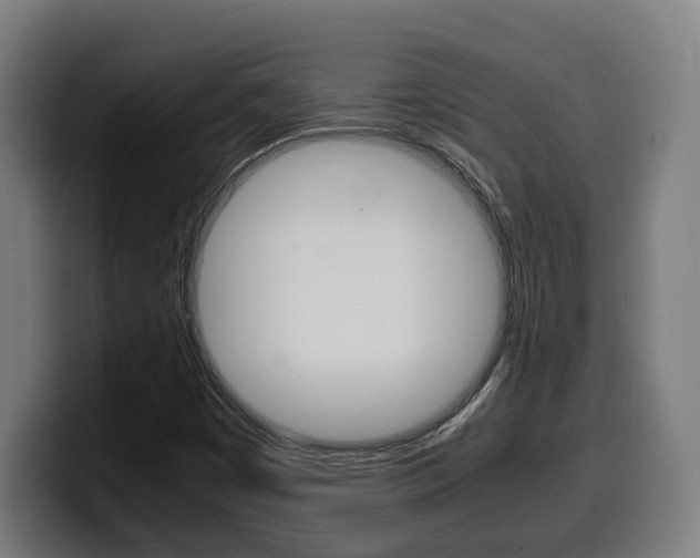 X0000099491449200805150918