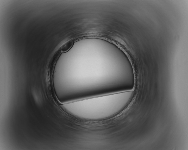 X0000099491450200805150918