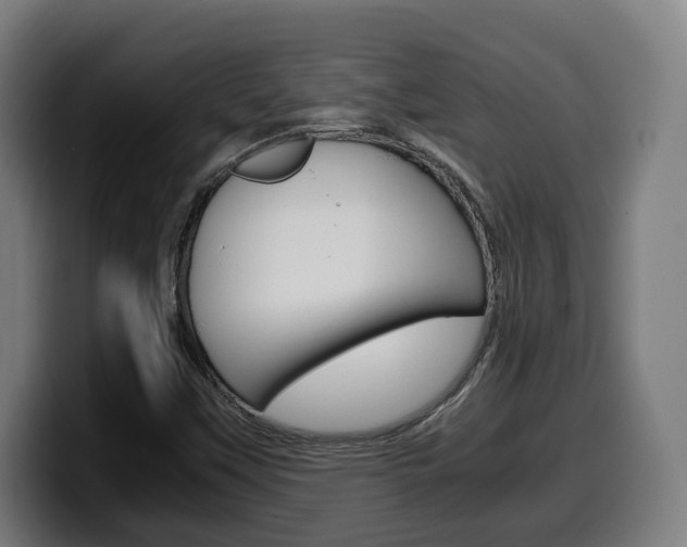 X0000099491451200805150918