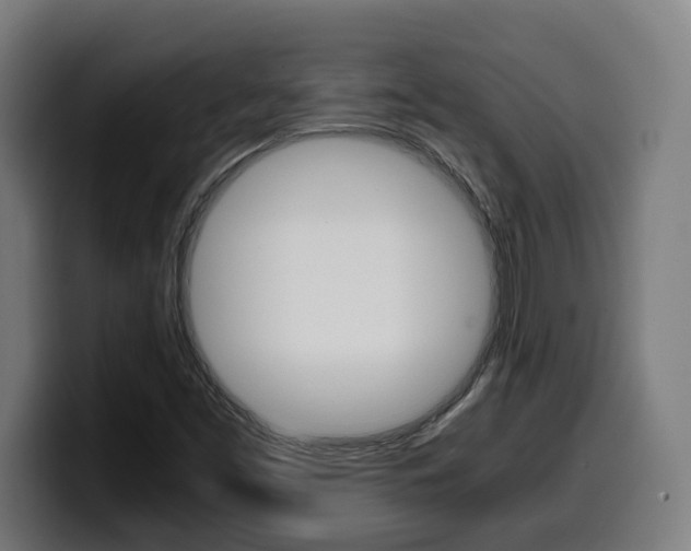 X0000099491453200805150918
