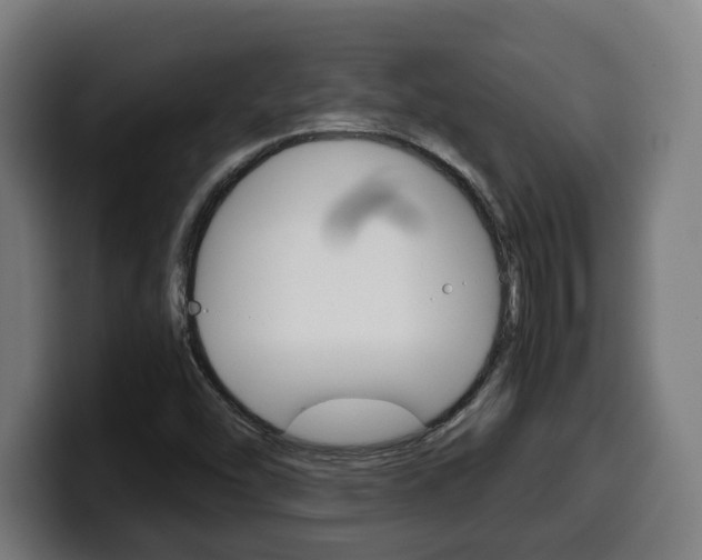 X0000099491454200805150918