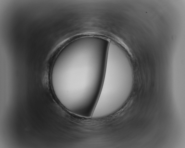 X0000099491456200805150918