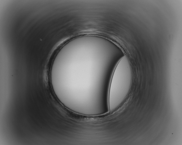 X0000099491458200805150918