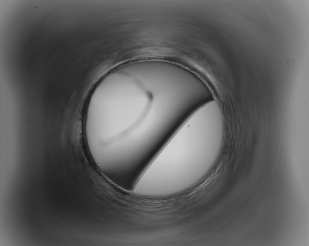 X0000099491459200805150918