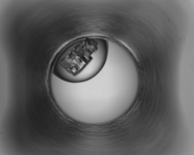 X0000099491460200805150918