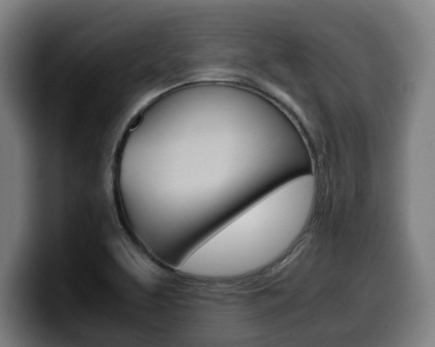 X0000099491463200805150918