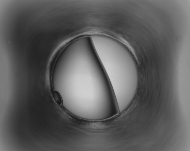 X0000099491464200805150918