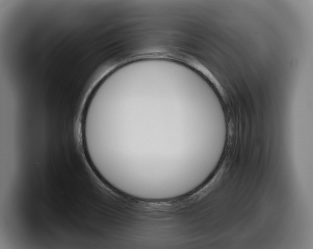 X0000099491466200805150918