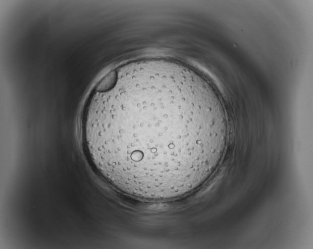 X0000099491467200805150918