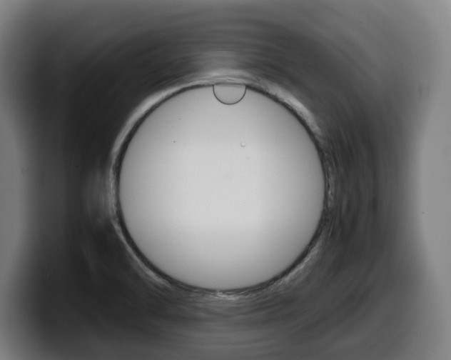 X0000099491470200805150918