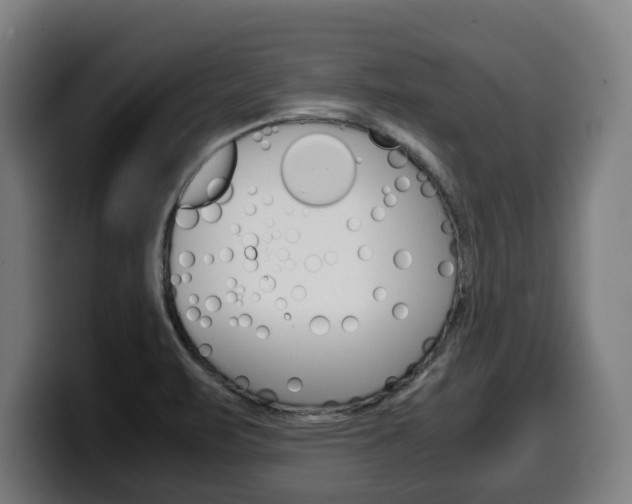 X0000099491471200805150918
