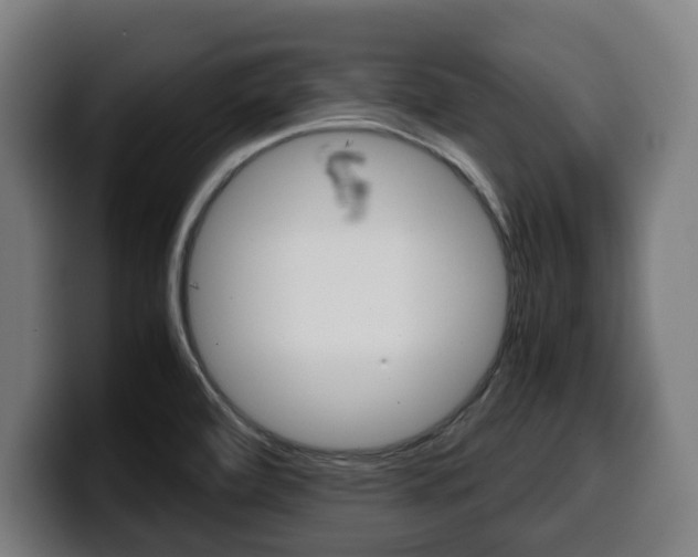 X0000099491472200805150918