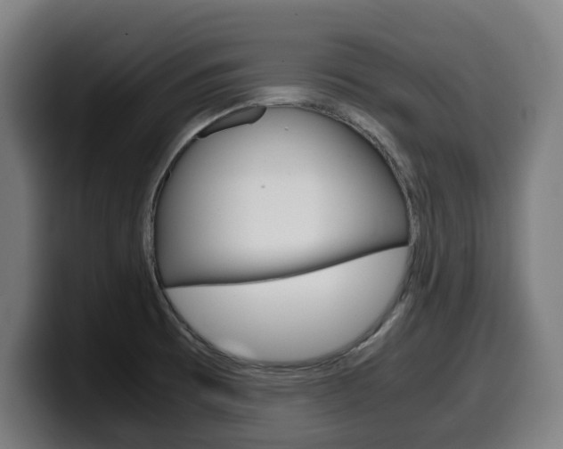X0000099491473200805150918
