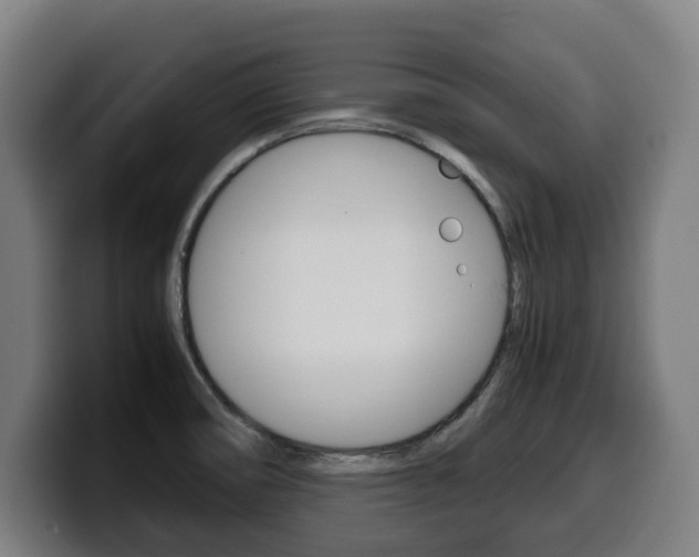 X0000099491474200805150918