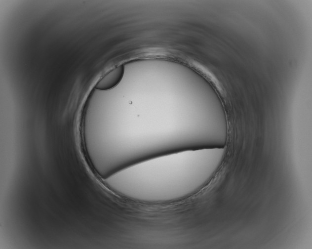 X0000099491475200805150918