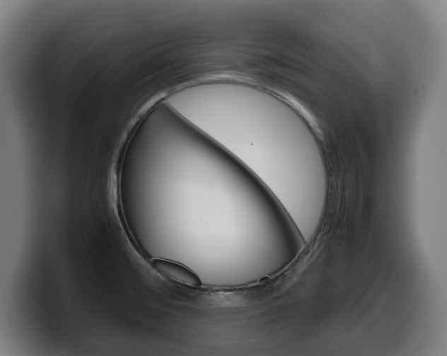 X0000099491476200805150917