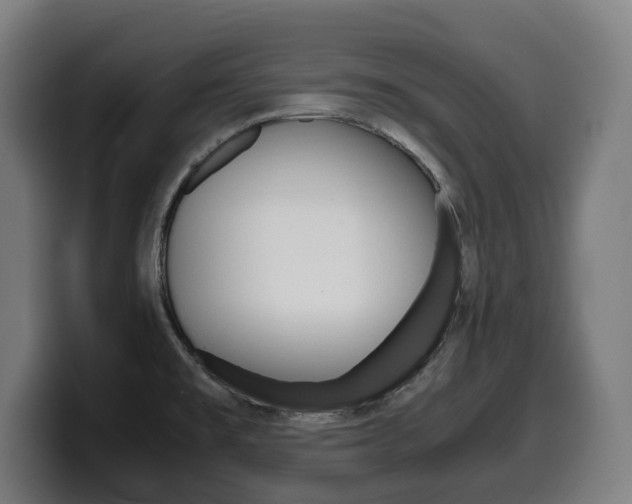 X0000099491477200805150917