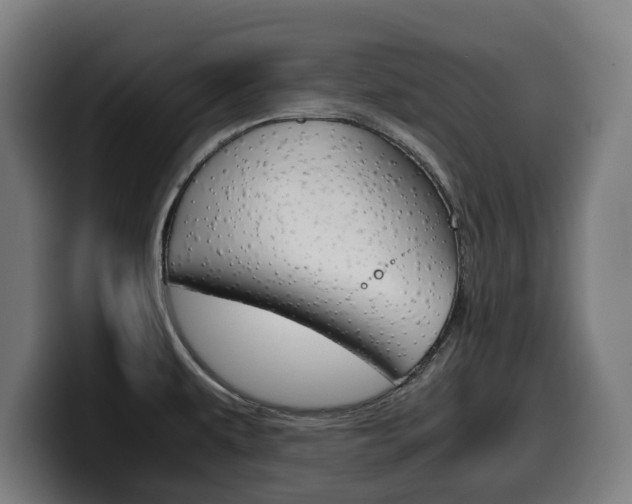X0000099491479200805150917