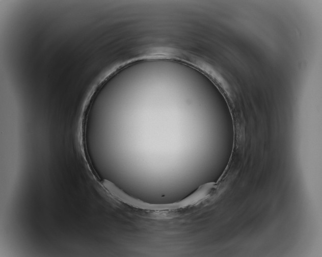 X0000099491480200805150917